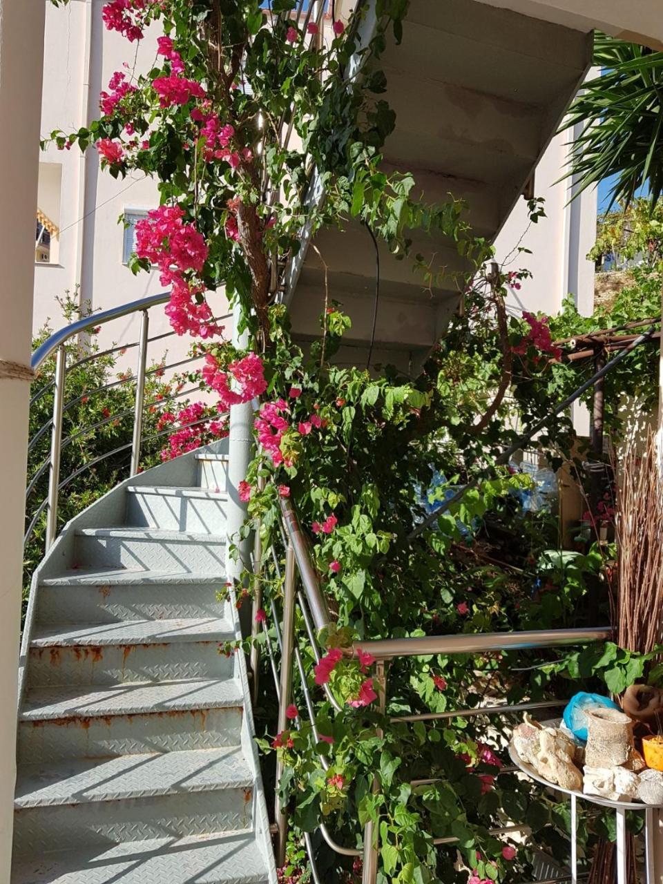 ★ Meniko'S House ★ Cozy Nest Apartment ฮีมาเรอ ภายนอก รูปภาพ